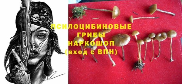 дмт Володарск