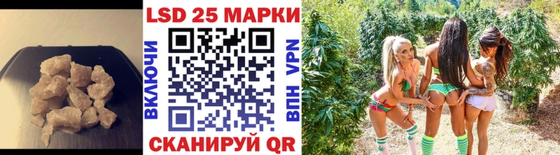LSD-25 экстази кислота  darknet наркотические препараты  Елизаветинская  наркота 