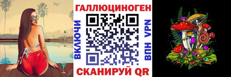 KRAKEN ТОР  Елизаветинская  Псилоцибиновые грибы Psilocybe 